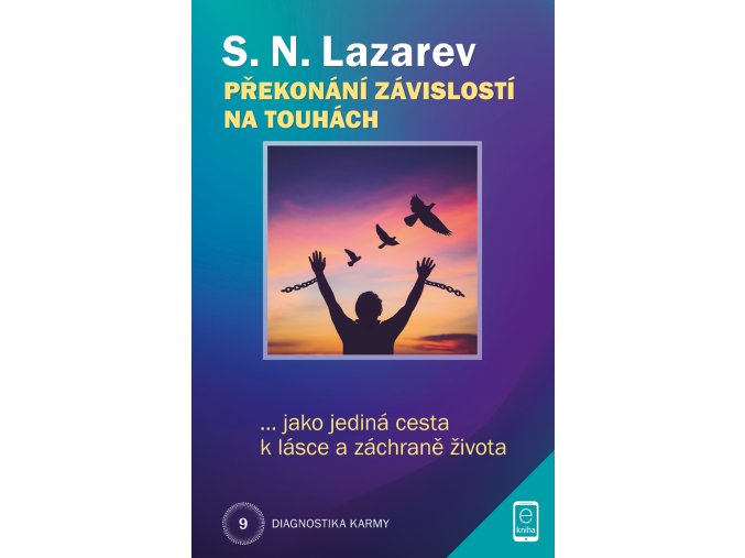 DK 9 Prekonani zavislosti E kniha FIN