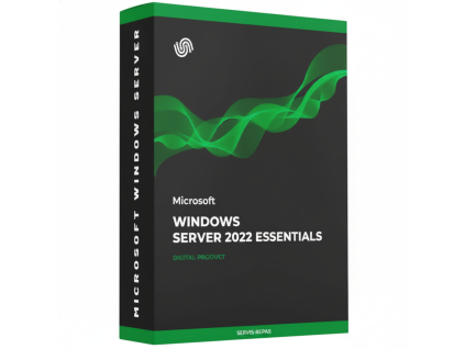 Server 2022 Essentials