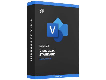 Visio 2024 standard