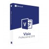 Microsoft Visio 2019 Professional pro Servery