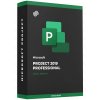 microsoft project 2019 professional