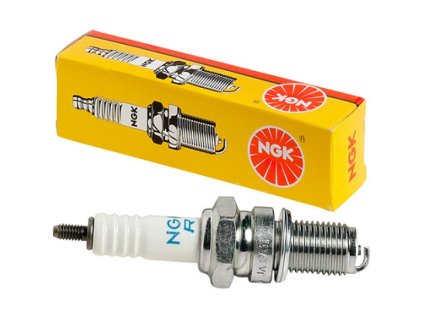 bpr7hs10 ngk l