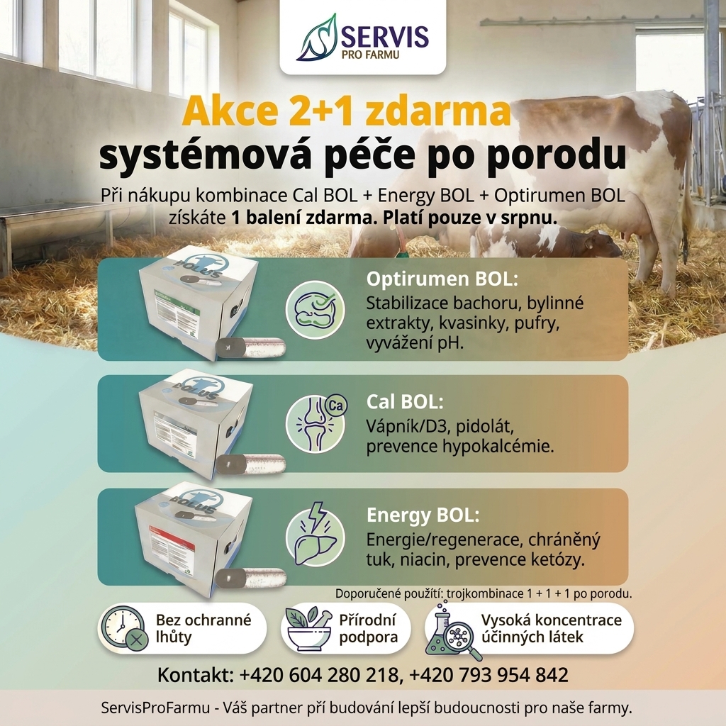 BOLUSY AKCE 2+1
