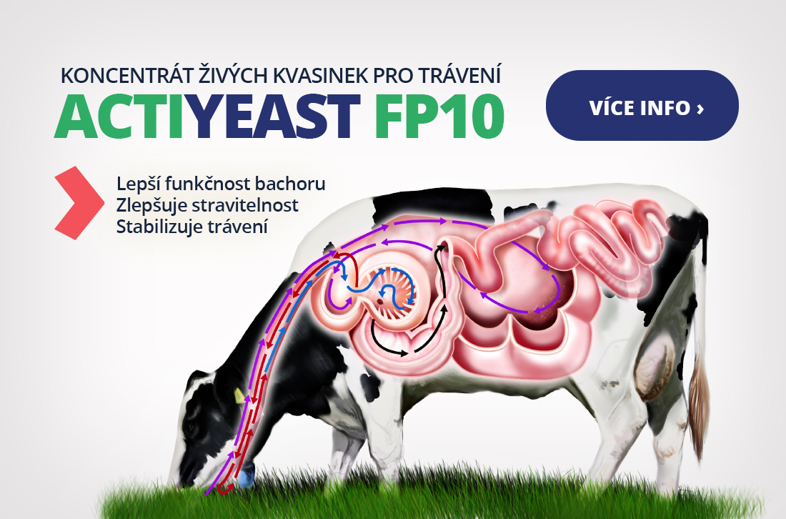 Actiyeast - koncentrát živých kvasinek pro lepší trávení