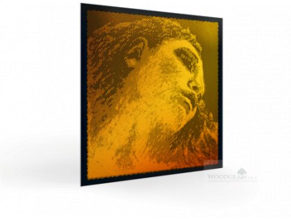 vln evahpirazzigold persp