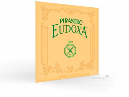 cel eudoxa persp