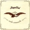 aquila