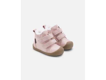 Bloom Old Rose Rose primary