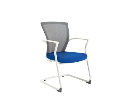 Merens White MEETING (11)