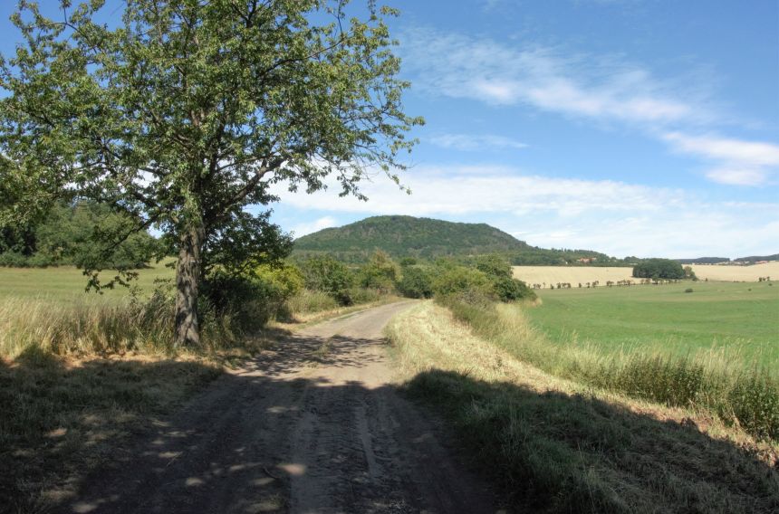 Vladař