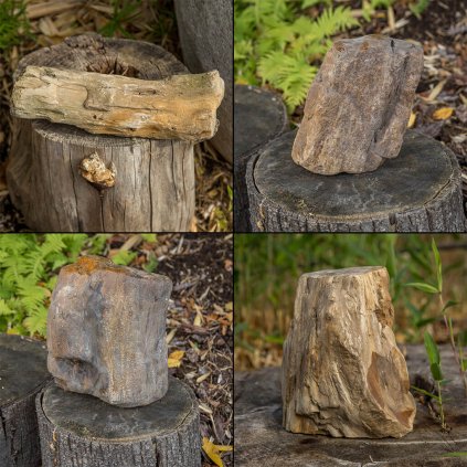 Zkamenělé dřevo 1