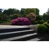 2343 4 schodiskovy blok ardesia