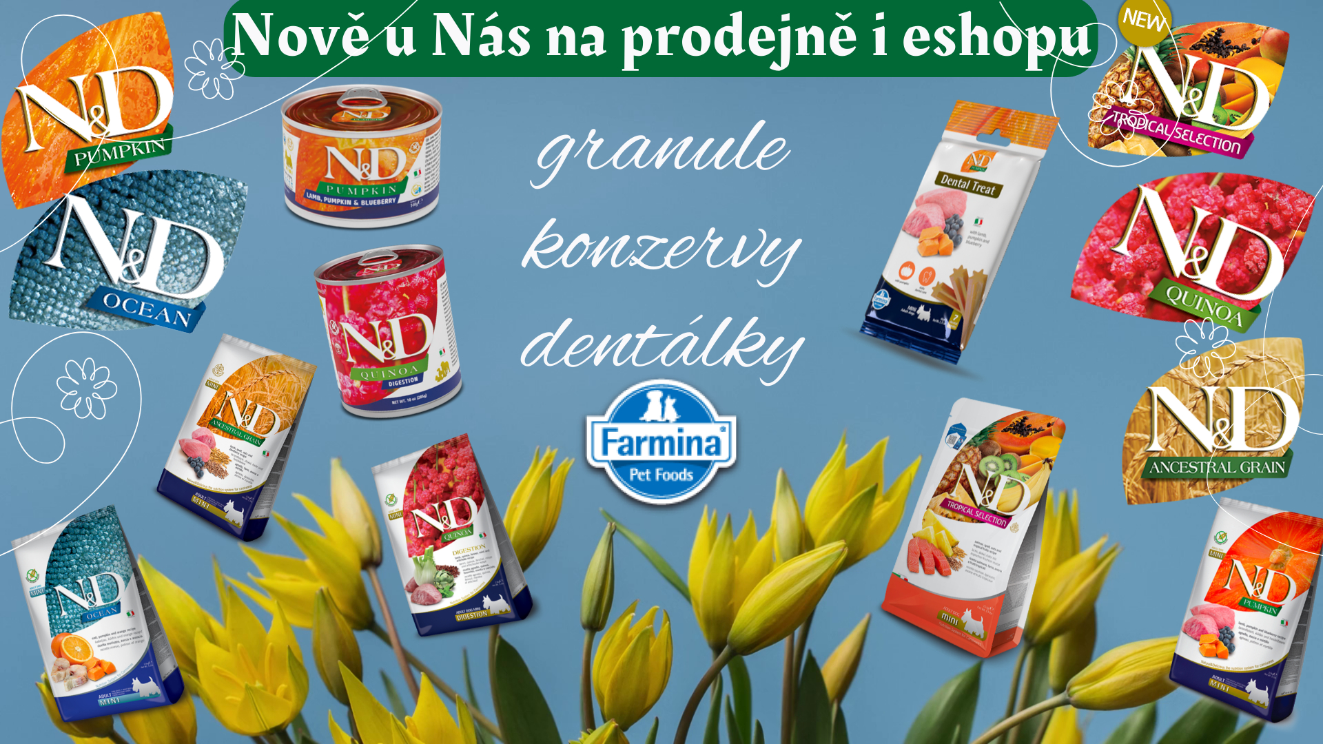 Granule, konzery, dentálky