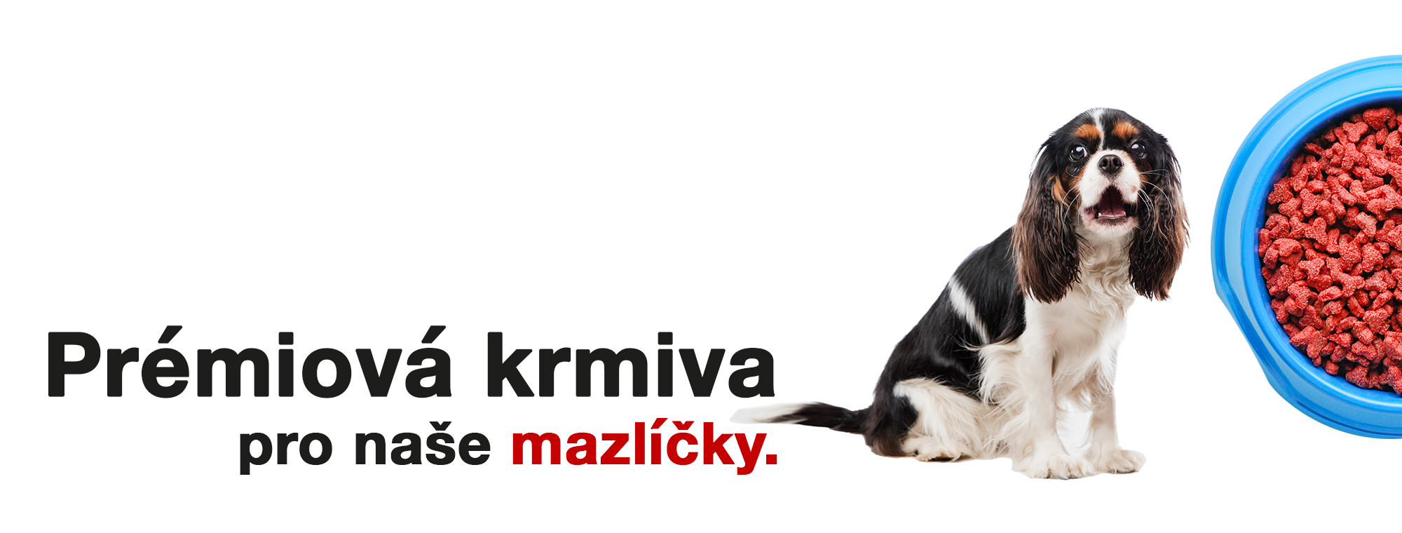 vhodné krmivo pro psy a pamlsky