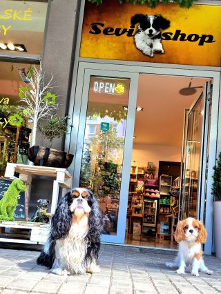 💋💓🦮přejeme krásný den a Tobby a Sevíček se na Vás už těši 💓💋 @sevishop.ms 👌#praha9 #pejskaripraha #vysocanska #summerdogs...