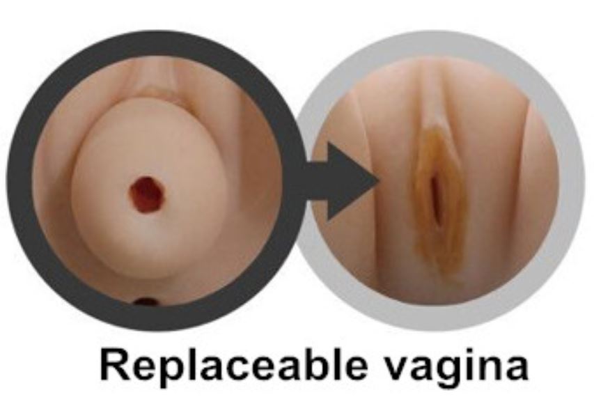 JYDoll vagina type / interchangeable