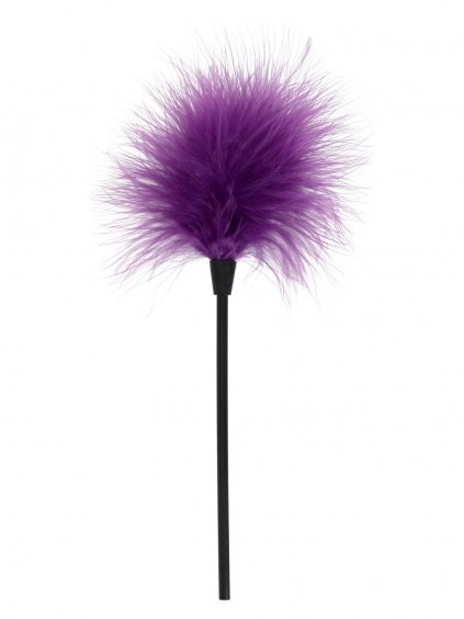 TOYJOY Basics Sexy Feather Tickler - Purple