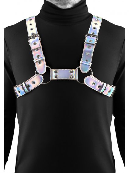 NS Novelties Cosmo Harness Rogue - Multicolor - S/M