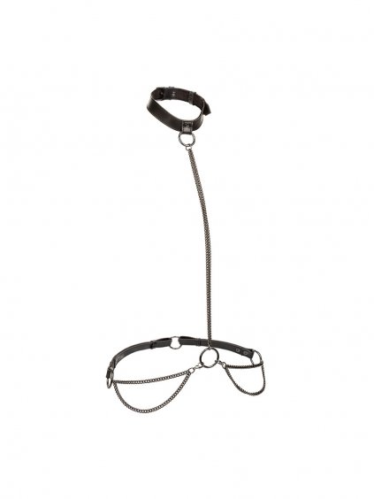 CalExotics Euphoria Collection Plus Size Chain Halter/Collar & Leash - Black