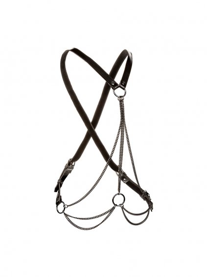 CalExotics Euphoria Collection Plus Size Multi Chain Harness - Black