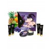 Shunga Geisha's Secrets Set - Exotic