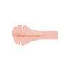 10739 SKIN 05 6990dc33 5940 402a 9f50 f0c3499cb66f