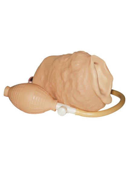 Vibrační vagína s pumpou - Wet-Dreams