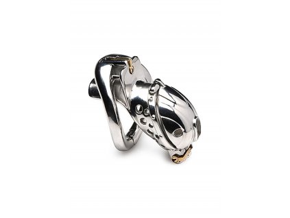 Master Series Deluxe Locking Chastity Cage