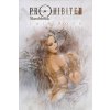 Luis Royo PROHIBITED SKETCHBOOK