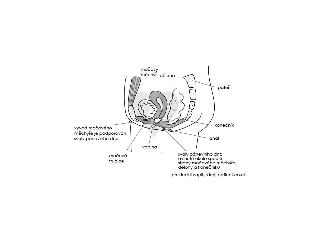 Venušiny kuličky pro posílení pánevního dna