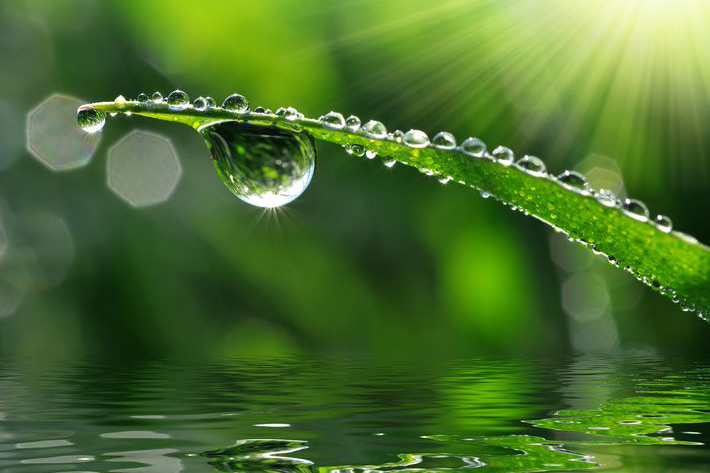 Ekologie i v posteli? S bio veganskými lubrikanty je to snadné!