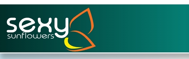 Az én webáruházam