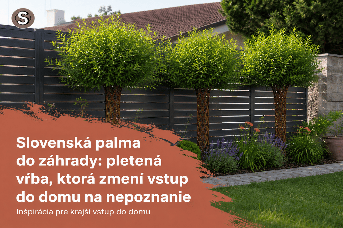 Slovenská palma do záhrady: pletená vŕba, ktorá zmení vstup do domu na nepoznanie