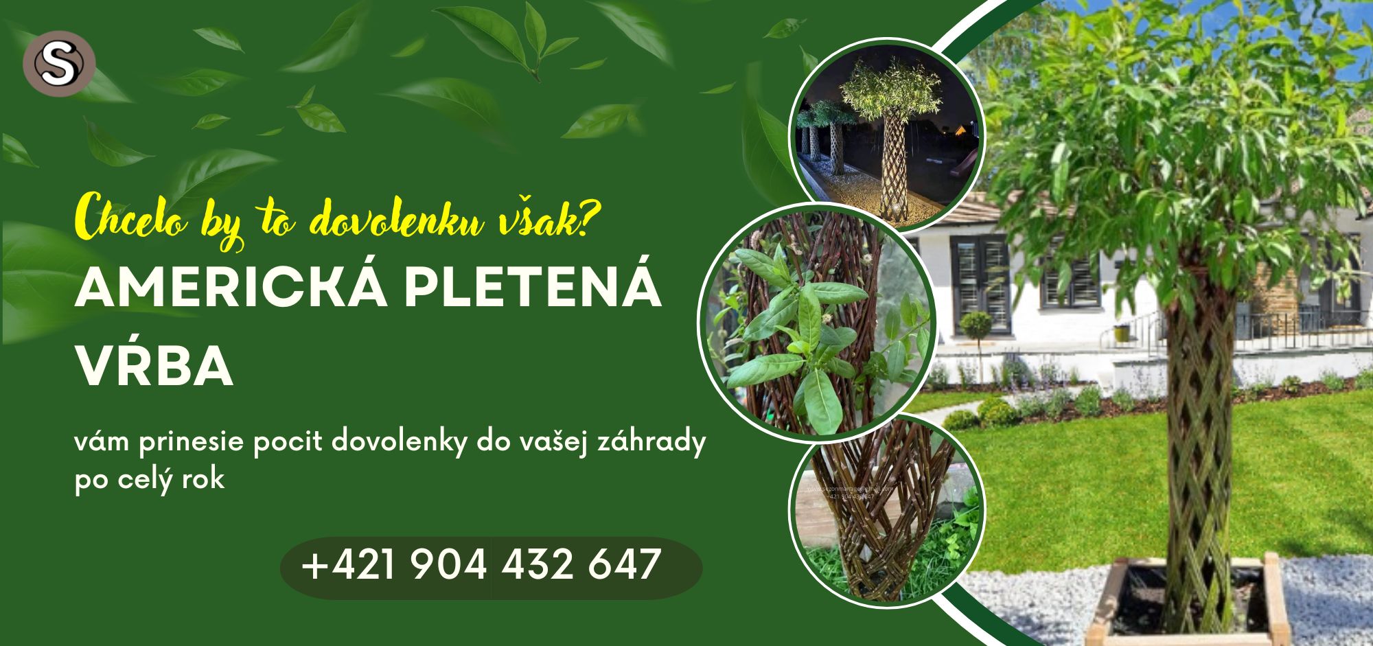 americká vrba