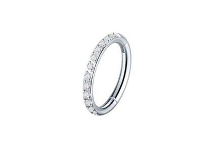 Snímek obrazovky (1880)