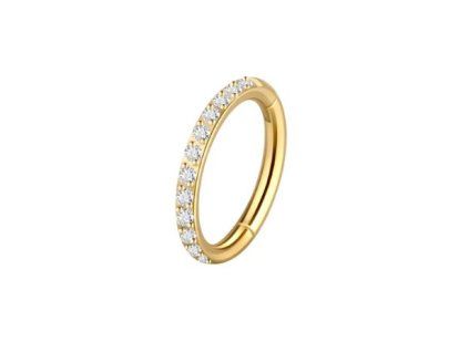 Snímek obrazovky (1881)