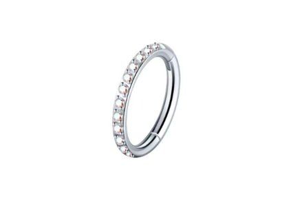 Snímek obrazovky (1882)