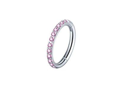 Snímek obrazovky (1884)