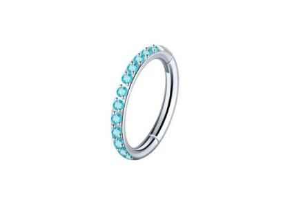 Snímek obrazovky (1883)