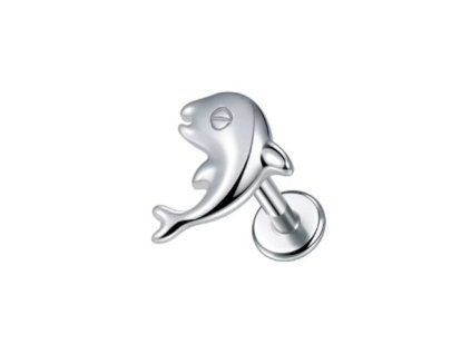 Snímek obrazovky (2465)