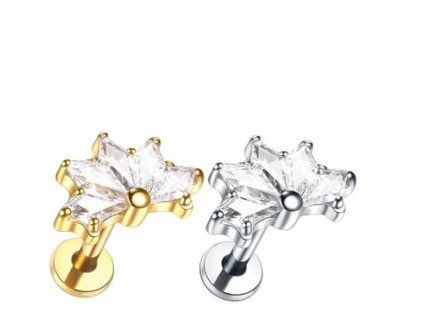 Snímek obrazovky (2520)