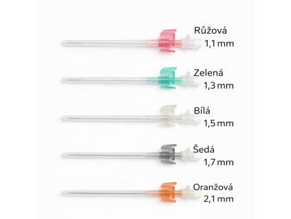 WhatsApp Image 2026 02 19 at 13.03.33