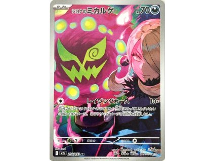 Cynthia's Spiritomb 208/193