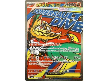 Mega Hawlucha ex 229/193