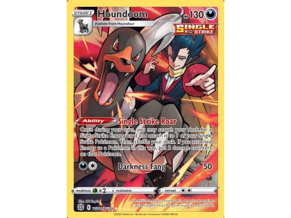 Houndoom TG10/TG30 (Stav Near Mint (NM))