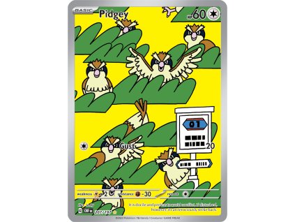 Pidgey 207/197 (Stav Near Mint (NM))