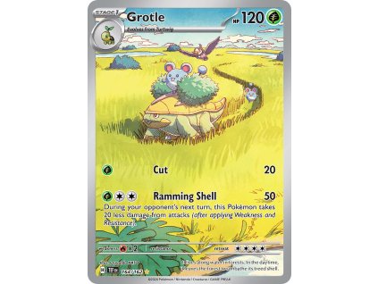 Grotle 164/162 (Stav Near Mint (NM))