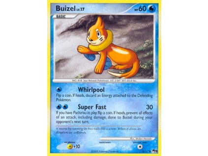 Buizel 6/17