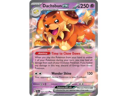 Dachsbun ex 067/142 (Stav Near Mint (NM))
