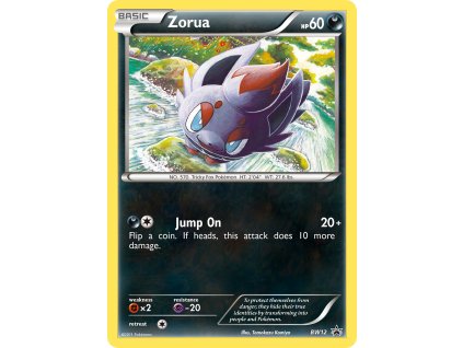 Zorua BW12